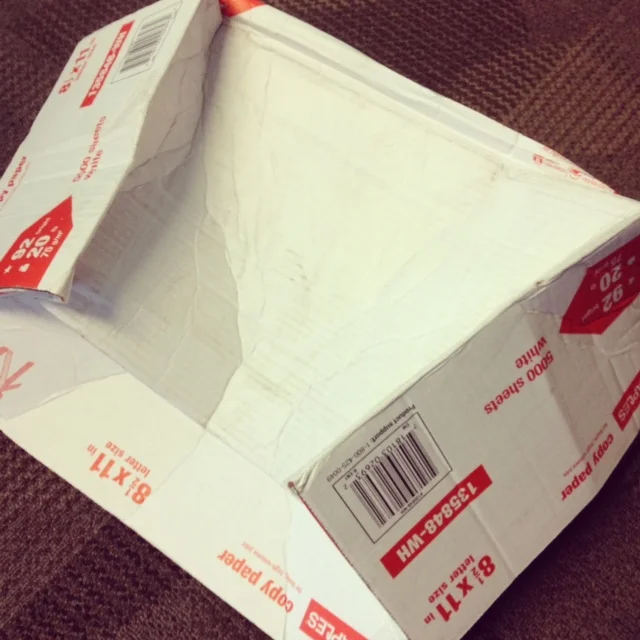 A crushed white box.