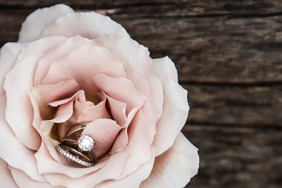 The bride and groom's wedding bands lay inside of a pink rose. 