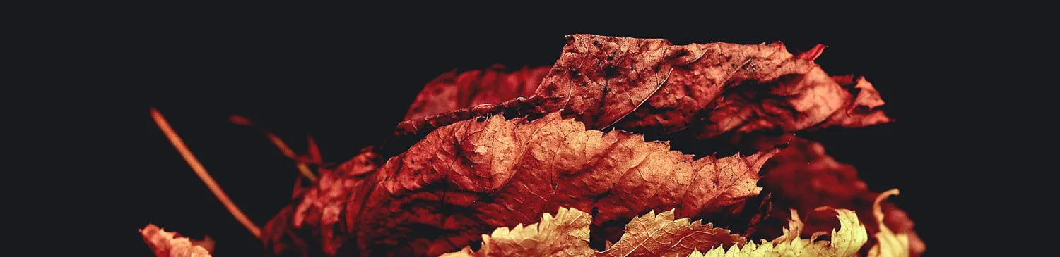 Design Matters: Here Is Why