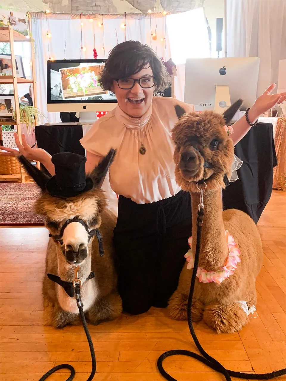 Indie Bridal Show - myheartcreative Morgan, the myheartcreative OKC wedding photographer, sits on her knees and smiles big with two llamas at the Indie Bridal Show.