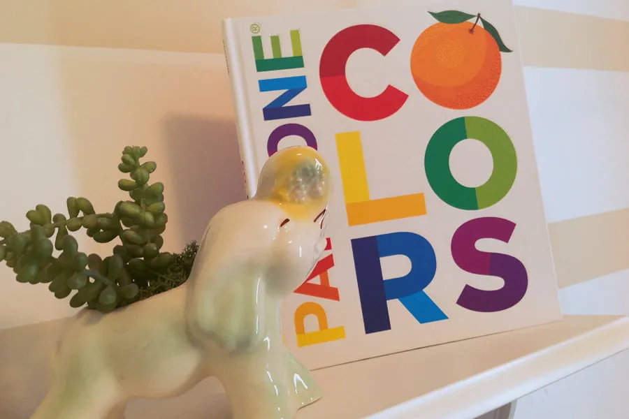 A small white elephant plant pot with a small green succulent in it. Next to this, a Pantone Colors book is propped up. 
