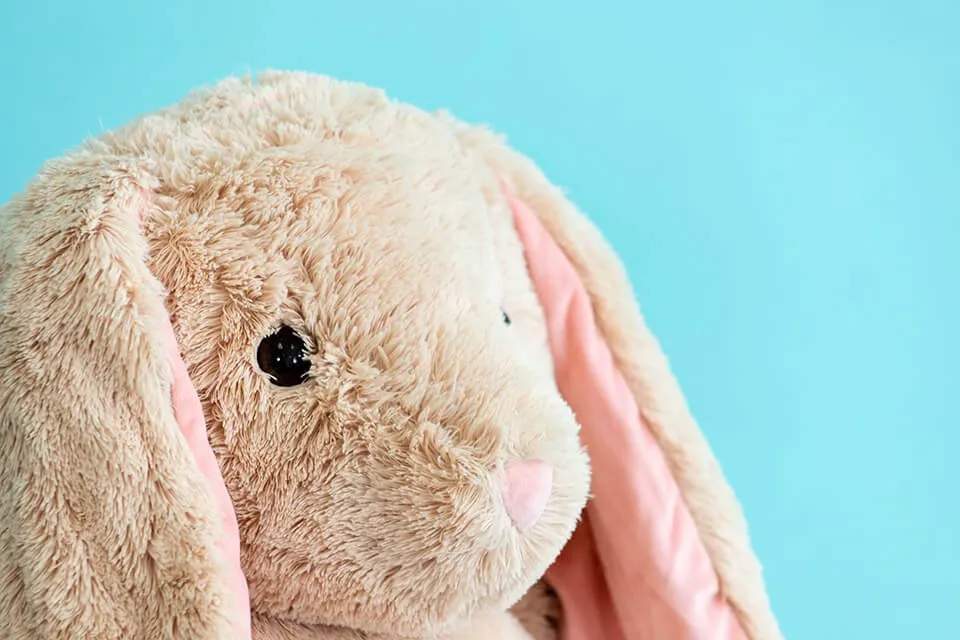 Capture Precious Memories with OKC Photography - myheartcreative The face of a tan bunny stuffed animal on a blue background.