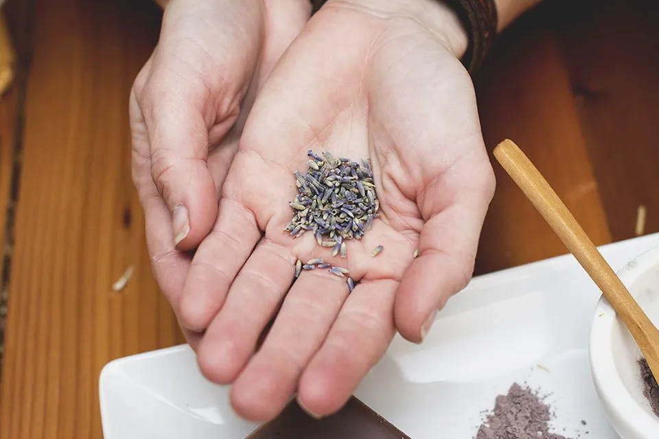 A myheartcreative photographer captures a hand holding a small pile of lavender seeds for Oklahoma photography services. 