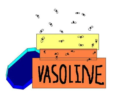 An orange box with "Vasoline" written on it. A swarm of bugs flies above it. 