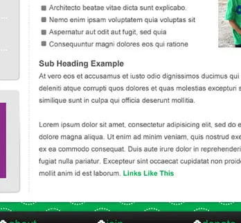 A screenshot of a Sub Heading Example with lorem ipsum filler text. 
