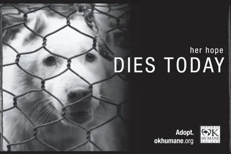 Her hope dies today. Adopt. okhumane.org. An ad designed by Amy G. 