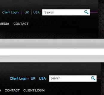 A screenshot showing the before and after of a client's search bar on their website. The search bar has been adjusted to the correct line height. 