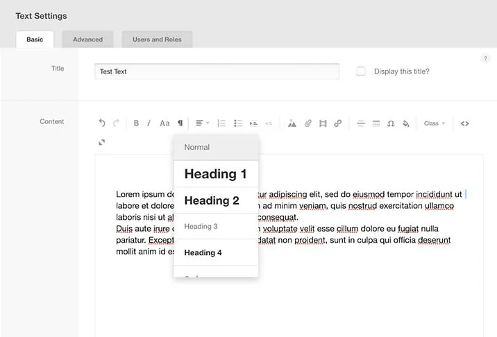 A screenshot showing the Text Settings box in Webvis CMS where users can choose a text size or heading. 