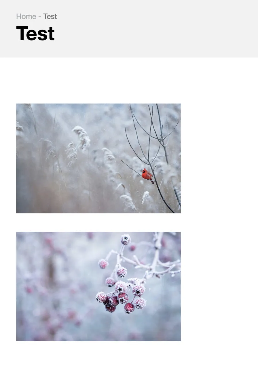 A screenshot of a sample piece of content with two images. The two images have one space in between each other. 