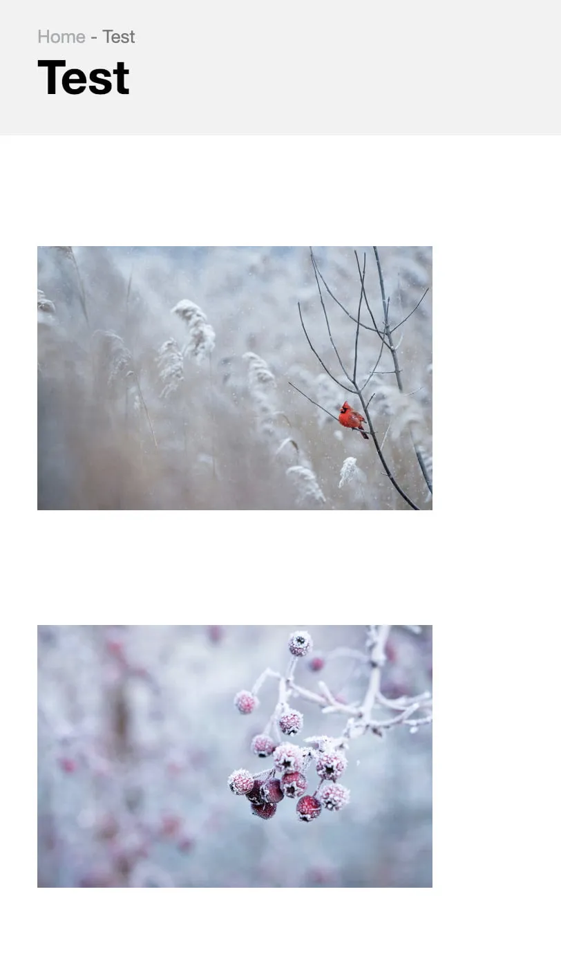 Text and Spacing in Webvis CMS - myheartcreative A screenshot of a sample piece of content with two images. The two images have multiple spaces in between each other.