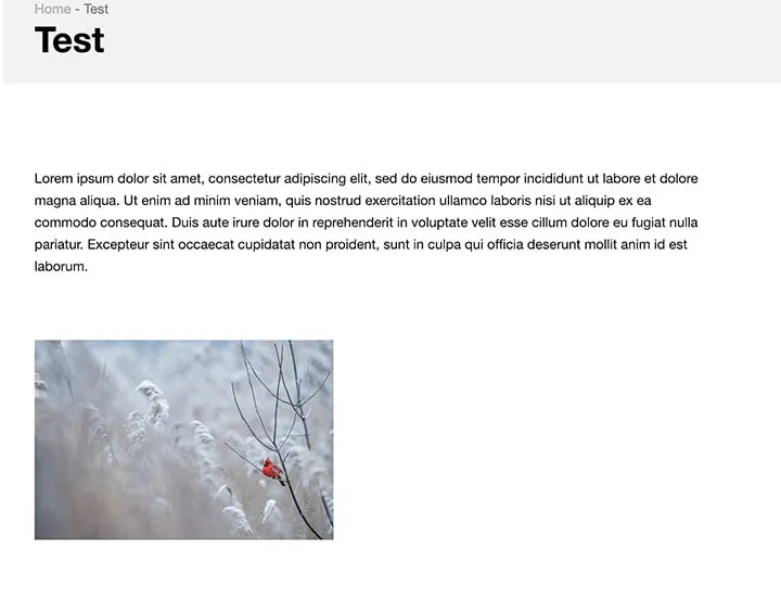 A screenshot showing the text preview of sample content. 