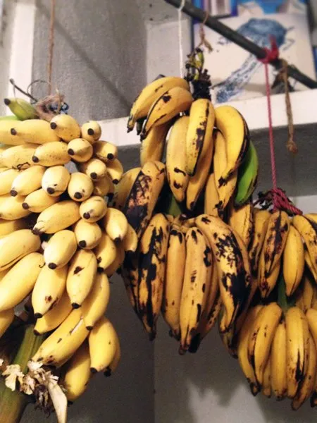Bundles of bananas at a market in India. 