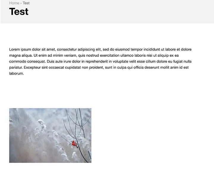 A screenshot showing the text preview of sample content. There is ample space in between the sample text and the image below it. 