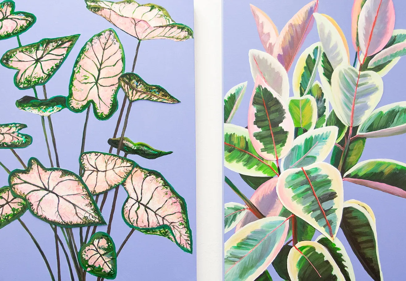 Two paintings of houseplants, as painted by artist Kyndall Rainey. 