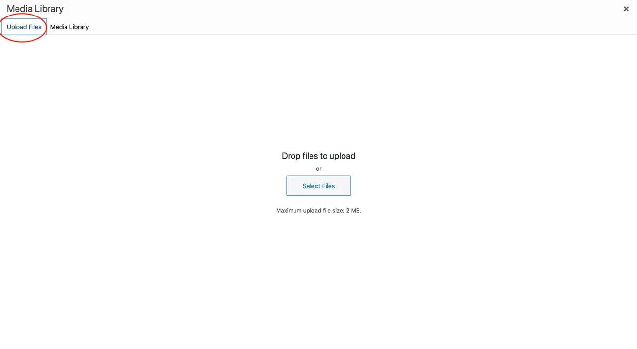 A screenshot showing the Media Library. Under the tab "Upload Files", users can drag and drop files. The box reads, "Drop files to upload or Select Files. Maximum upload file size: 2MB."