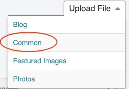A screenshot showing where to select Common under Upload File. It is the second option from the top of the menu. 