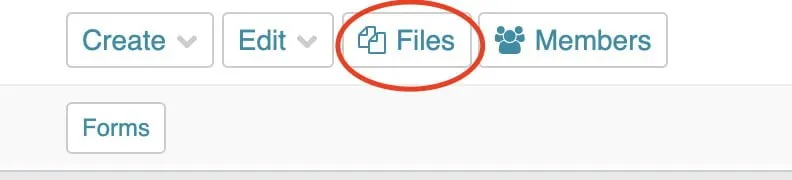 A screenshot showing the Files button, located between the Edit and Members buttons. 