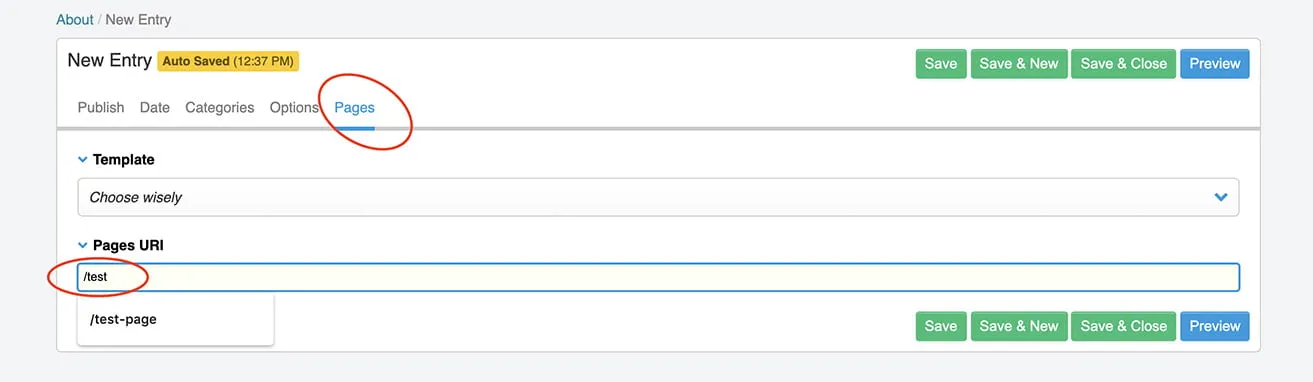 A screenshot showing users to click the Pages tab under New Entry. In the Pages URL box, users should put a backslash before pasting in the URL. 