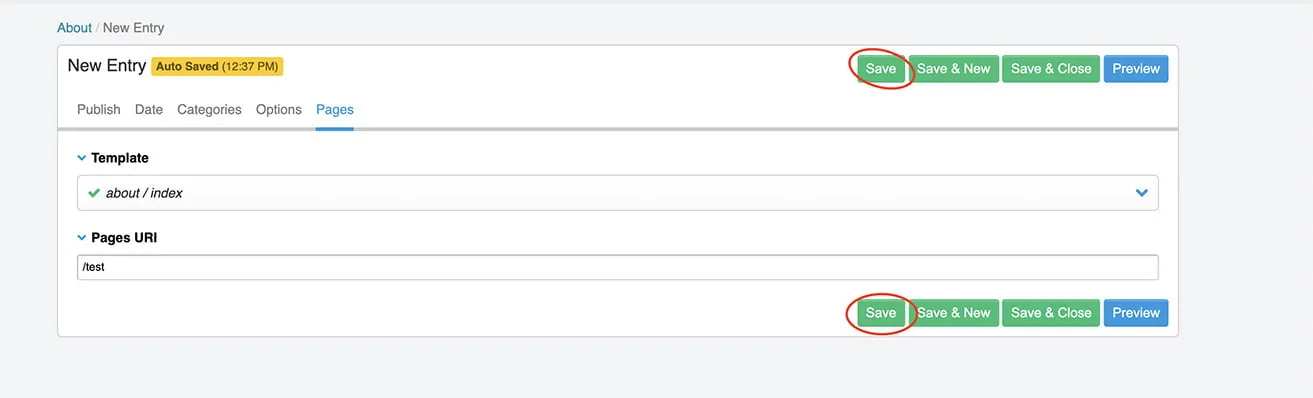 A screenshot showing the green Save buttons in the upper and lower right side of the New Entry box. 