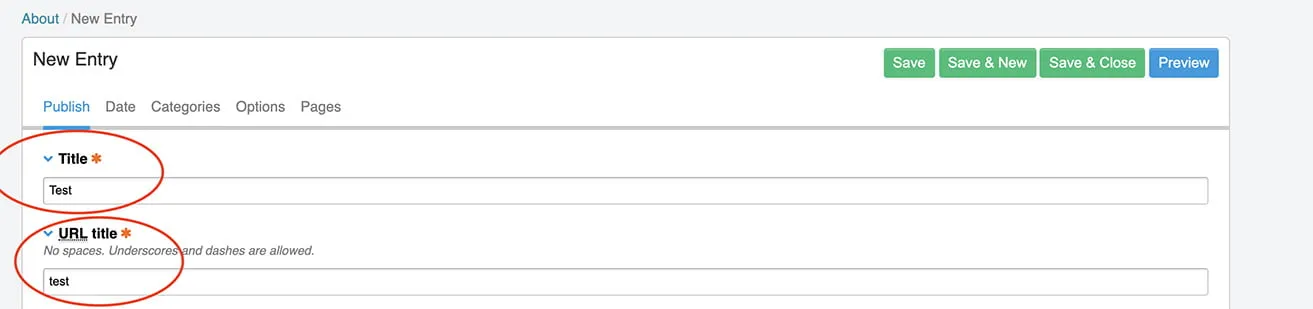 A screenshot showing where to add the page and URL title on a new entry. Under the New Entry box, users will go to the Publish tab and type in the title and URL title under the appropriate boxes. 