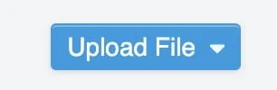A screenshot of the blue Upload File button. 