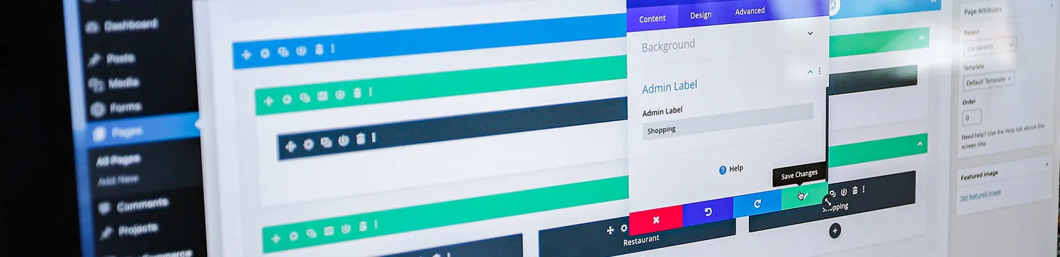 Using Rows on the WordPress Divi Builder