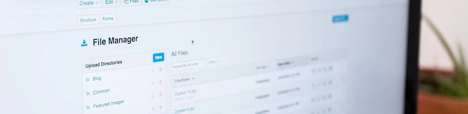 Files with EE