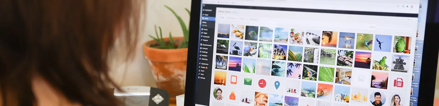 Media Uploads on WordPress