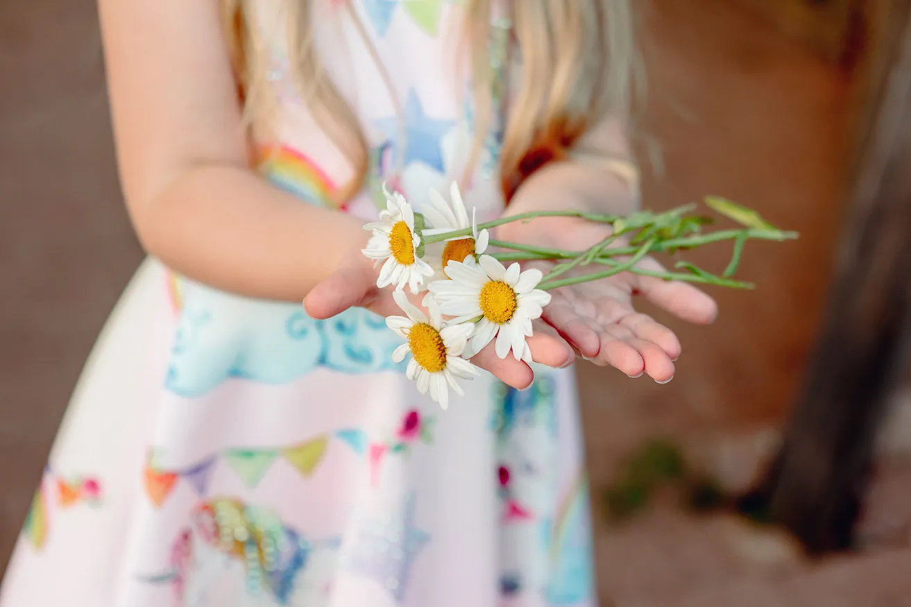 When You Hire a Photographer, Who Owns the Pictures? - myheartcreative A young girl wearing a pink patterned dress holds four daisies in her hands.