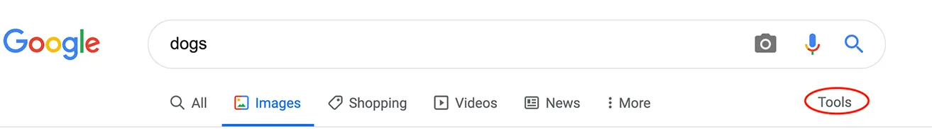 A screenshot of a Google image search for "dogs." Users can click "Tools" in the upper right corner to find usage rights. 