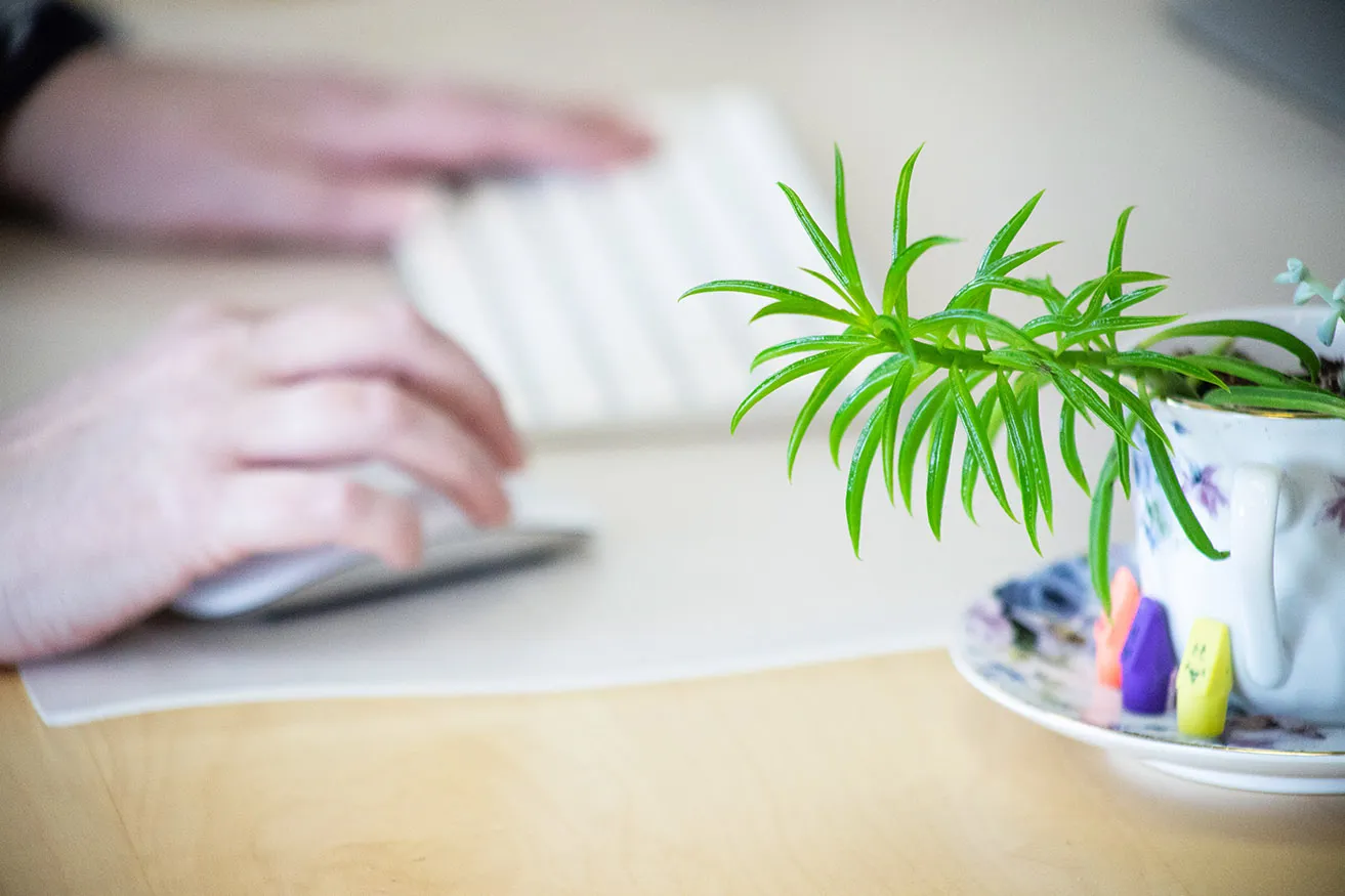 How Many Types of SEO Marketing Dallas Are There? - myheartcreative A succulent growing on a teacup on April's desk at the myheartcreative studio.