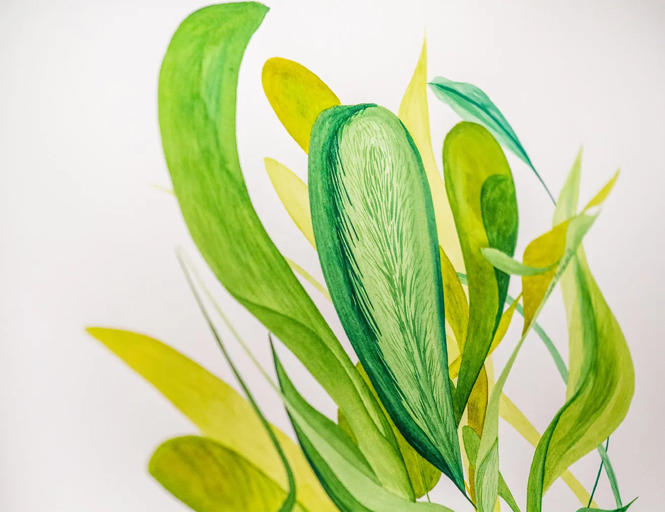 The Science of Art - myheartcreative An up-close photo of a green art work created by Malcolm Zachariah.