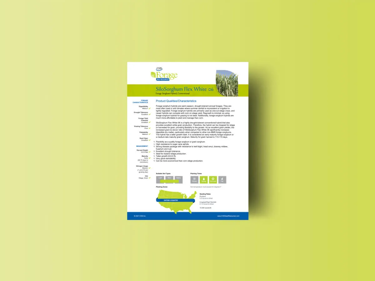 chs-print-low-res-2 1-mhc-vert-business-card-mock-up
