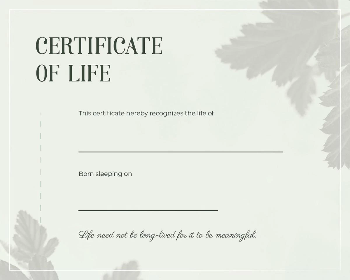 Certificate of Life with plant leaves around the edges. "This certificate hereby recognizes the life of _________, Born sleeping on __________. Life need not be long-lived for it to be meaningful." 