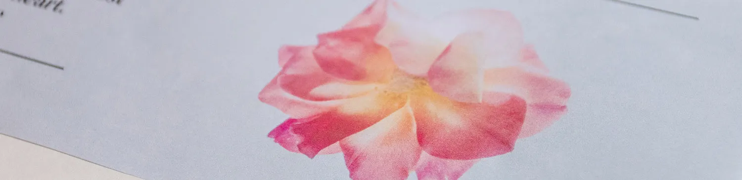 Honoring and Cherishing with Certificates of Life