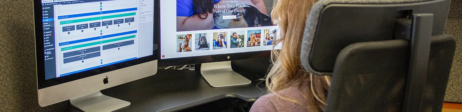 5 Website Accessibility Best Practices
