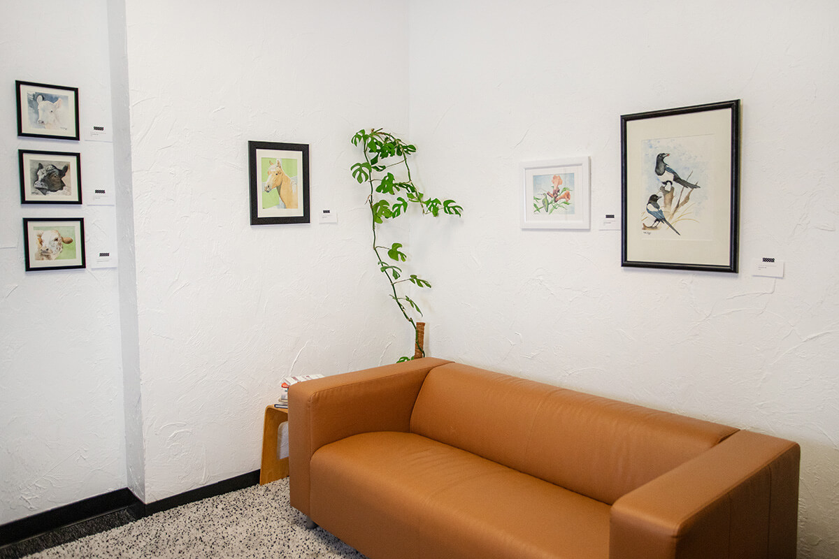 Multiple paintings hand on the walls of the myheartcreative studio surrounding a tan couch. 