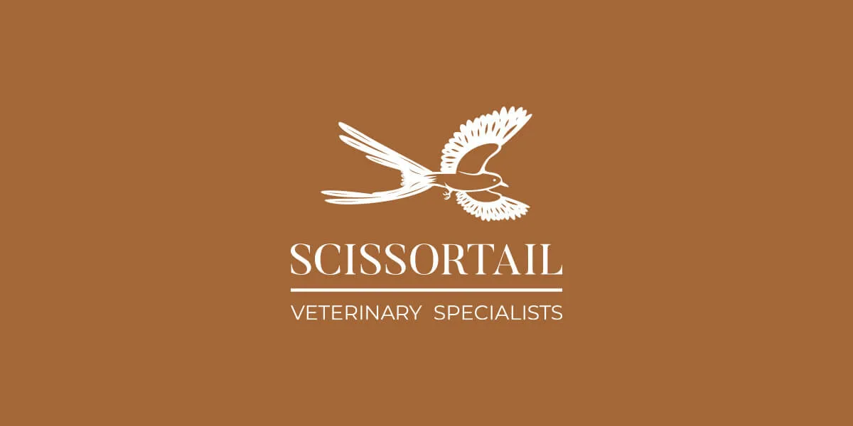 Scissortail Primary Logo