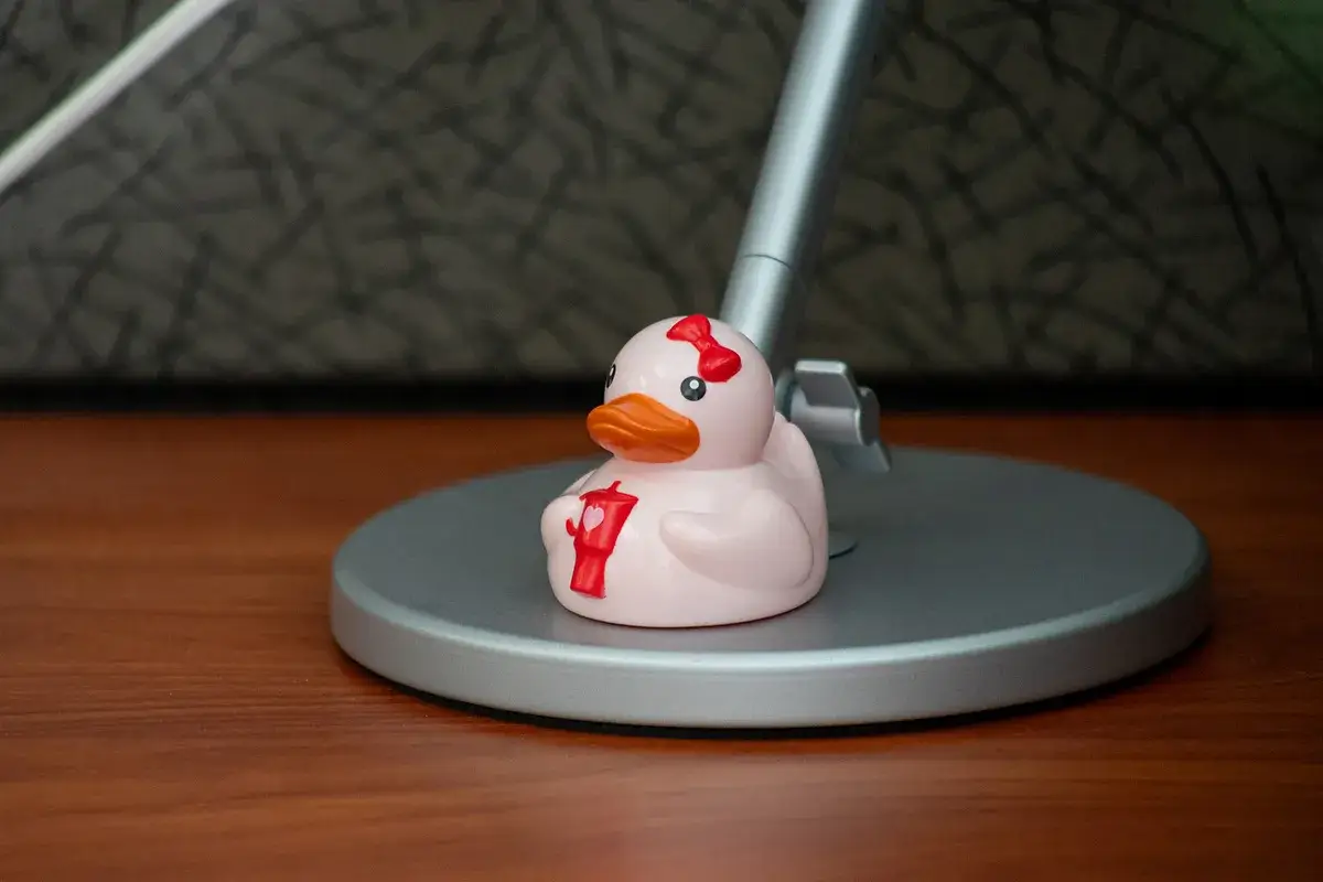 What Is a Target Market? - myheartcreative A pink rubber duck