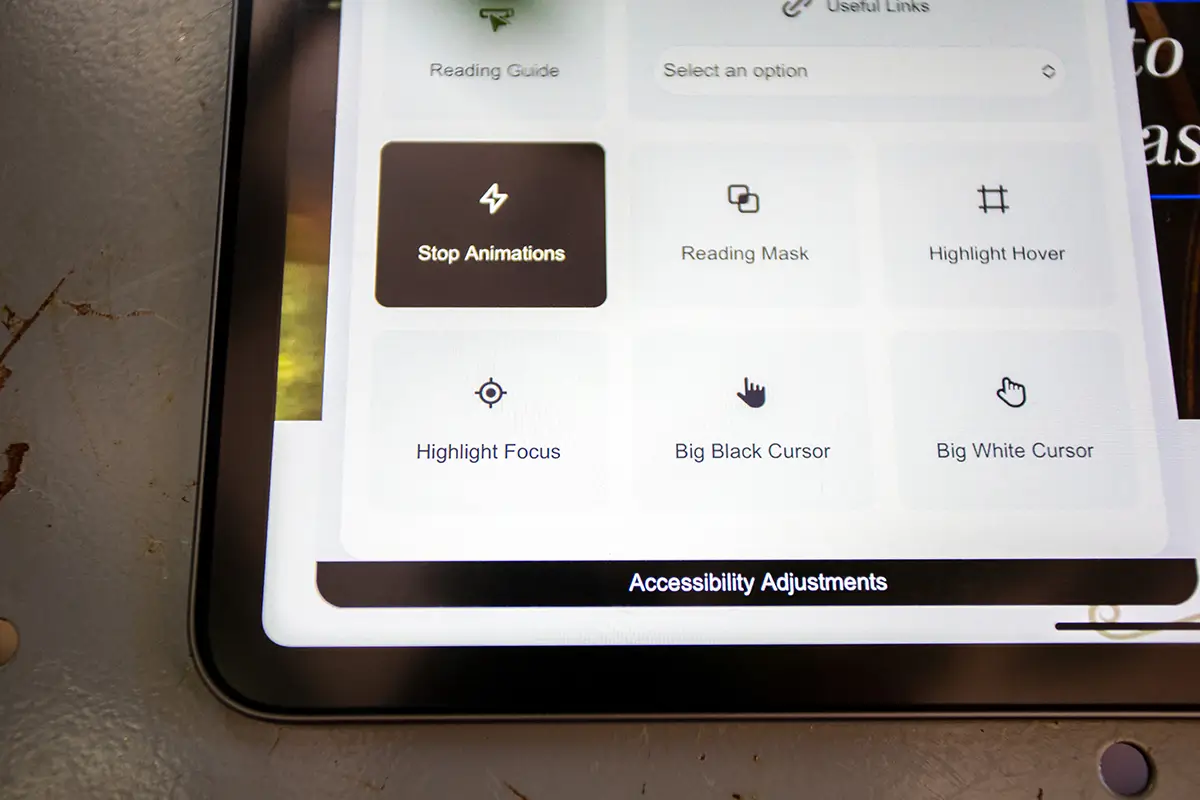 Website accessibility OKC interface showing accessibility adjustments including stop animations, reading mask, highlight focus, and large cursor options.